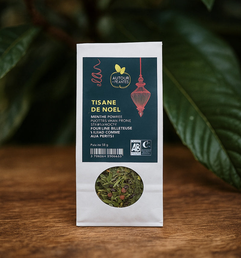 Tisane de Noël BIO